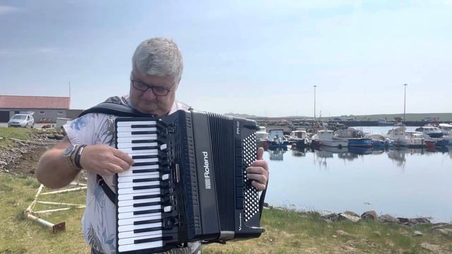 Wee accordion jigs by the marina смотреть онлайн