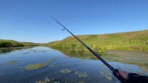 ПОСТАВИЛ ЭТУ ПРИМАНКУ И ПОПЕР КЛЕВ! Злющие поклевки щуки! Спиннинг 2023