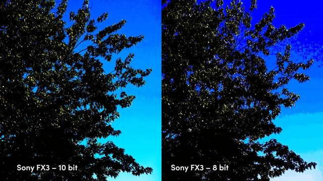 8-Bit vs 10-Bit For Video: What's The Difference? | MPB смотреть онлайн