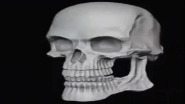 Череп крутится и улыбается мем оригинал смотреть онлайн