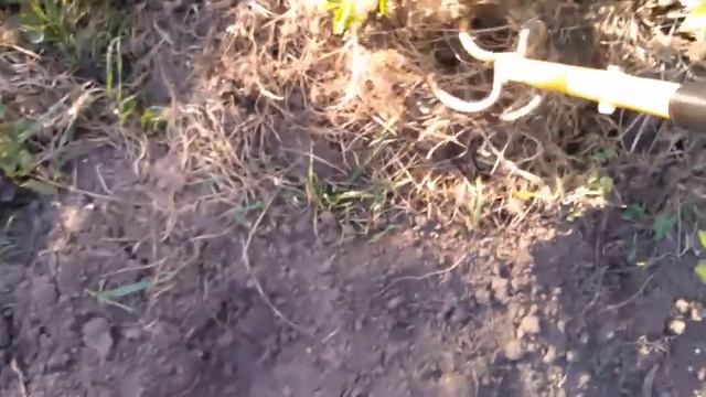 Культиватор 