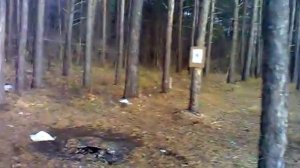 Гроза-02 с V-4 кучность с 10-ти метров