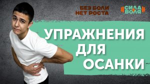 УПРАЖНЕНИЯ ДЛЯ ОСАНКИ