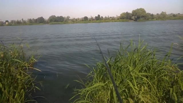 толщина проволоки крючка влияет на клёв смотреть онлайн