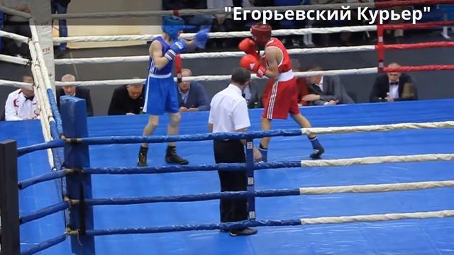 Турнир по боксу смотреть онлайн