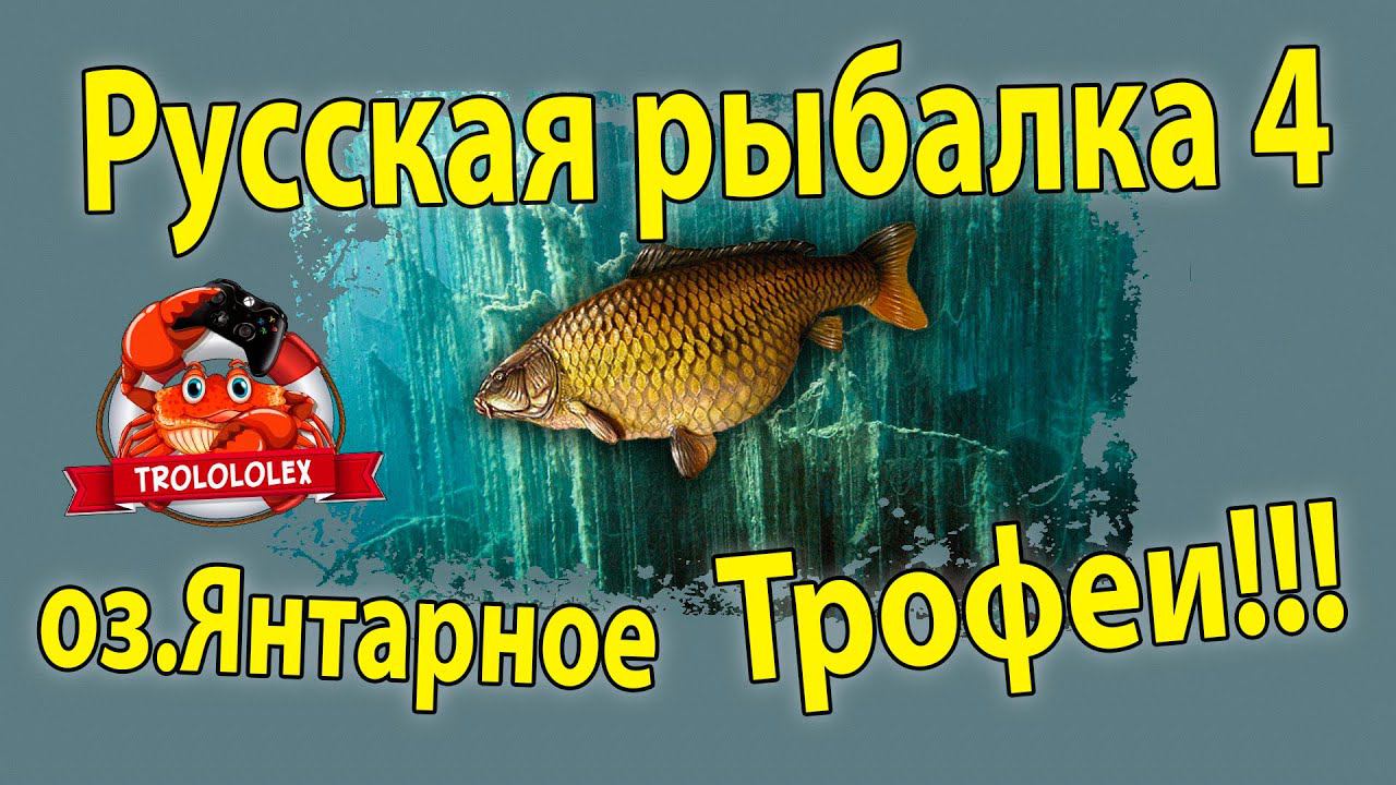 Русская рыбалка 4 Фарм и трофем на оз Янтарное смотреть онлайн