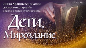 Световые сущности - основа Световой Сети. Темная сеть. #Мироздание #Дети #Весталия