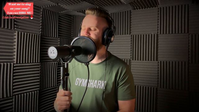 Limp Bizkit - Break Stuff (Vocal Cover by Dan Picknell) смотреть онлайн