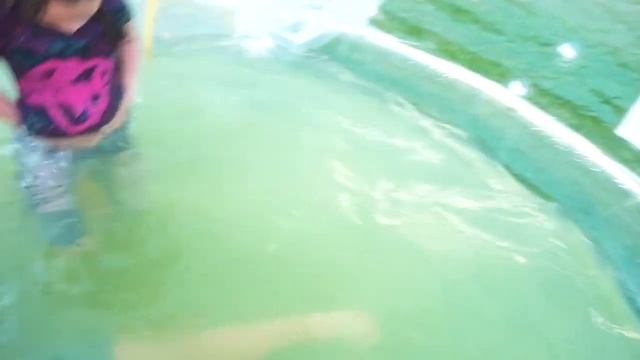 Гигантский АКВАПАРК дома БАССЕЙН И ОГРОМНЫЙ НАДУВНОЙ ШАР