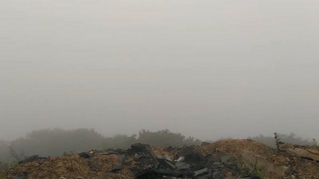 Удушье во Владивостоке :лёгких планеты больше нет - вырезали китайцы .Головные боли без кислорода. смотреть онлайн