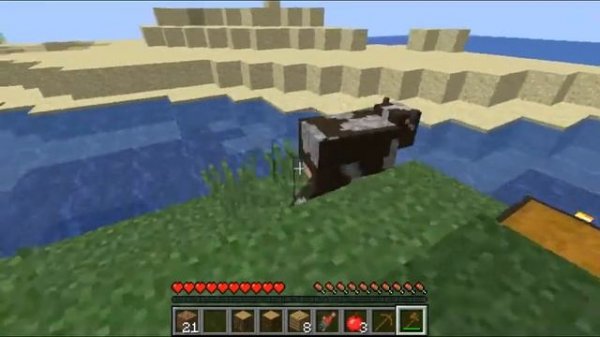 Intel Celeron n3050 | MINECRAFT