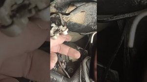 Замена датчика коробки Акпп (селектры) пежо 307