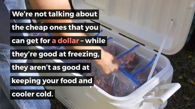 Engel 20 vs 32 Ice Packs смотреть онлайн