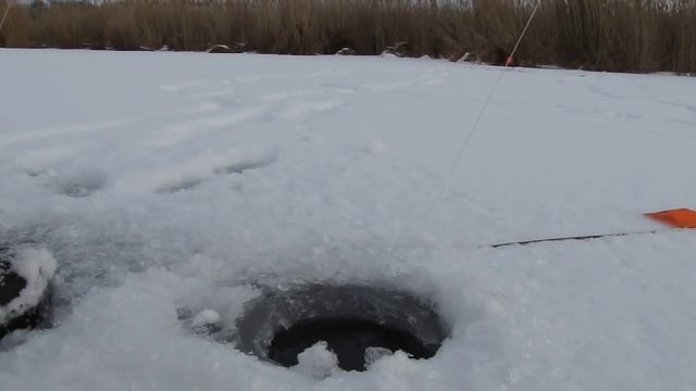 Рыбалка на щуку зимой на жерлицы видео отчот Pike fishing winter смотреть онлайн