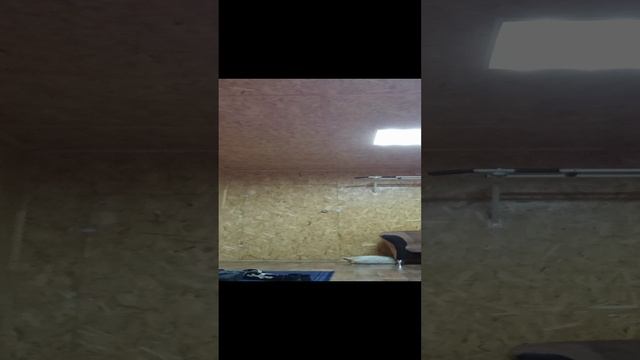 VID_20230501_203358.mp4