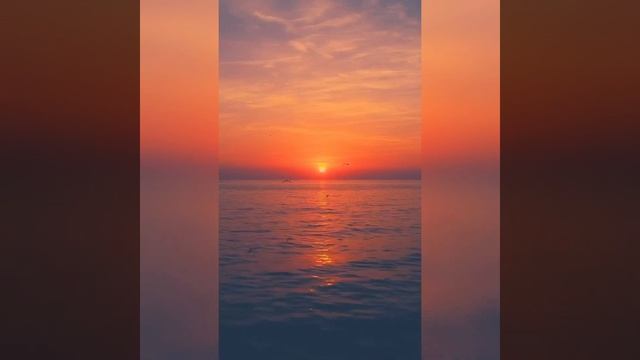 ВСЕМ ПРЕКРАСНОГО ДНЯ|ОТЛИЧНОГО НАСТРОЕНИЯ? смотреть онлайн