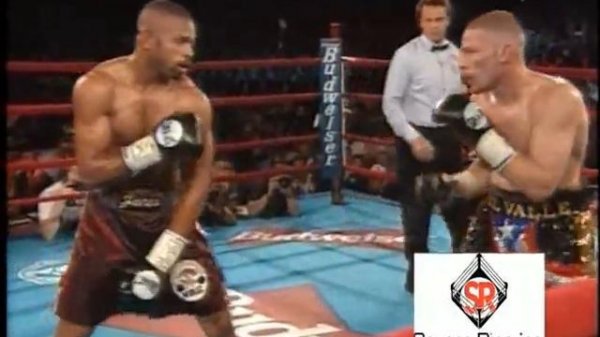 Рой Джонс младший, самые лучшие удары. Бокс.