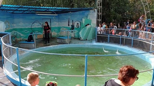 сафари парк Краснодар (часть 3) смотреть онлайн