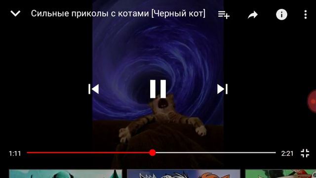 Реакция на Коты ютуберы - Чёрный кот смотреть онлайн