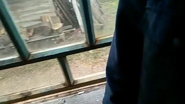 Peugeot 407 замена  втулки привода ведущего колеса часть 2