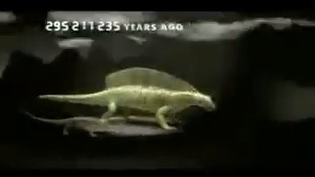 Эволюция животных за пять минут