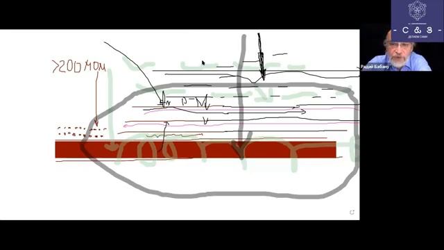 16 конференция Про Плазму Мехран Кеше (Mehran Keshe) - Радий Бабану (Radii Babanu) 360 смотреть онлайн