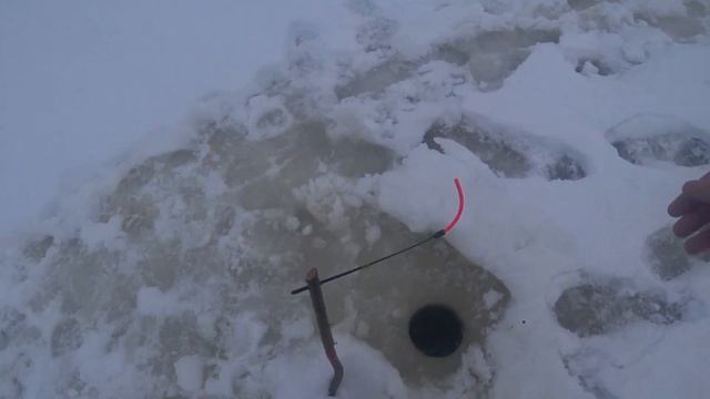 ЛОВЛЯ ротана ЗИМОЙ. ЛУЧШАЯ снасть НА РОТАНА смотреть онлайн