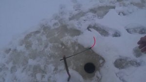 ЛОВЛЯ ротана ЗИМОЙ. ЛУЧШАЯ снасть НА РОТАНА