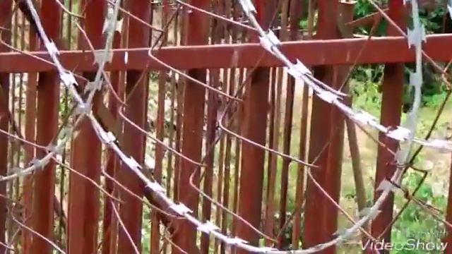 Nastia dax -я около реки смотреть онлайн