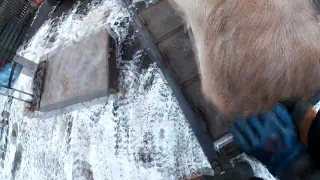Грузим свиней смотреть онлайн