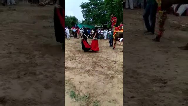 Sanjeet mandhi camel dance смотреть онлайн