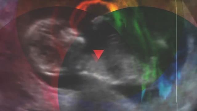 ▲THE NOVEMBERS "Flower of life" MV▲ смотреть онлайн