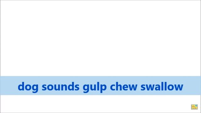 dog sounds gulp chew swallow смотреть онлайн