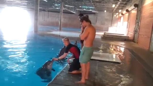 william at dolphin bay dubai смотреть онлайн