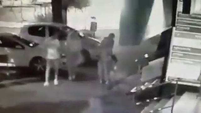 Хозяин меня не воспитал - собака покусала собаку в Сочи смотреть онлайн