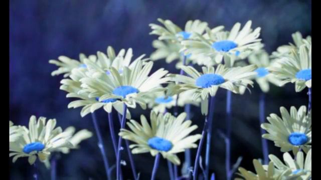 Хвалю Тебя, Господь, за мир, что так непрост смотреть онлайн