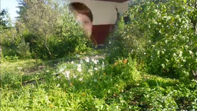 Моим родителям