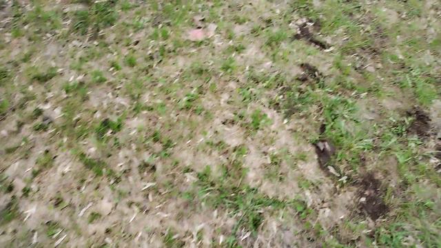 Выбор пневматики 3Дж для подготовки к 10 метровой дистанции смотреть онлайн