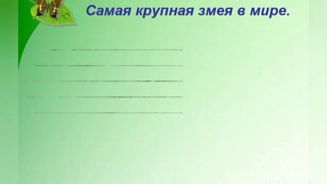 Чудеса и загадки природы (СДК Коржевский)