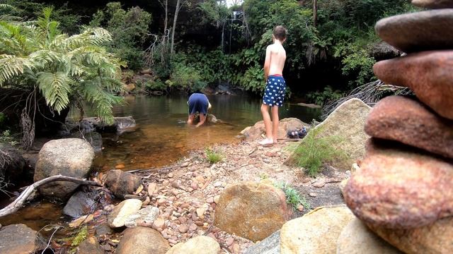 AMAZING FIND IN THE WILD смотреть онлайн