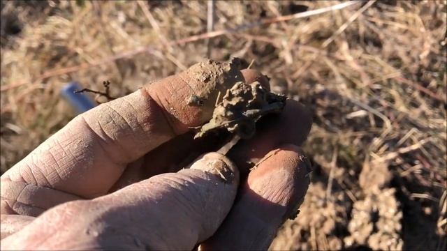 Metal Detecting Vermont Hunt # 215 смотреть онлайн