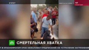 Смертельная Атака Акулы на Россиянина | мгновеная смерть в пасте Акулы.