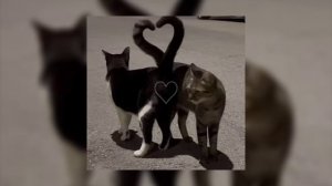 another love - speed up