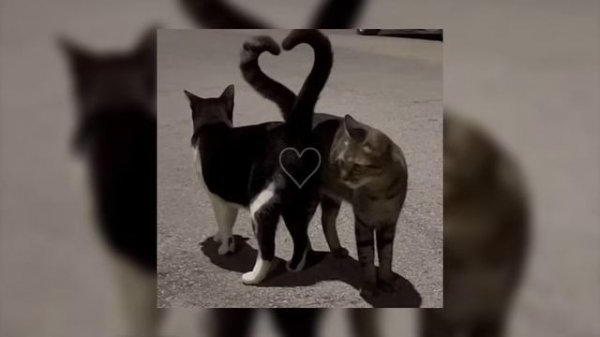 another love - speed up