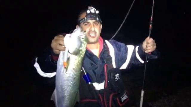 Мой муж рыбак( דייג ) смотреть онлайн