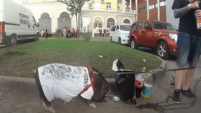 7 MOSCOW INTERNATIONAL TATTOO CONVENTION 2014 смотреть онлайн