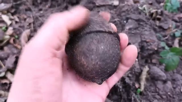 Коп по войне.Офицерский набор Вермахта.WW2 Metal detecting. смотреть онлайн