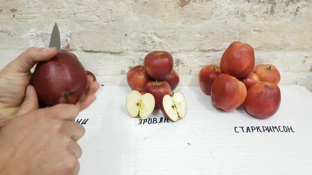 Яблоня Эрован EARLY RED ONE* смотреть онлайн
