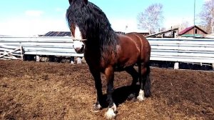 Советский тяжеловоз!