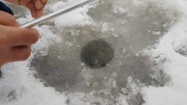 Нерль декабрь 2017 смотреть онлайн